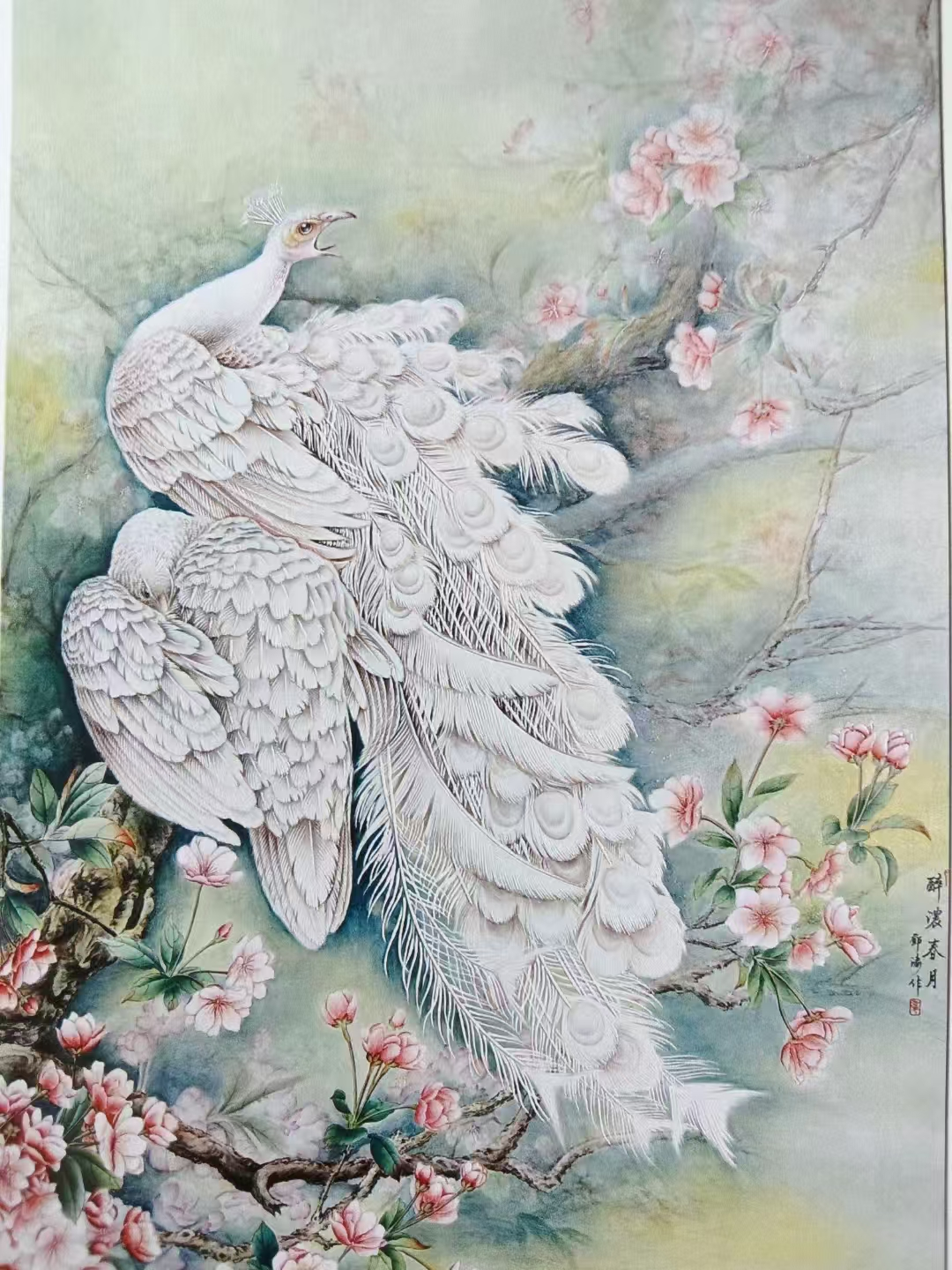 图片 4.png
